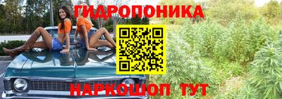 круглые Ивантеевка