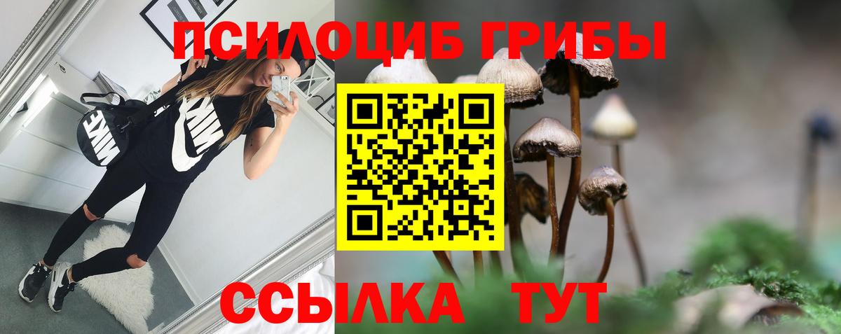 Долгопрудный  Галлюциногенные грибы мицелий  Вход с VPN 