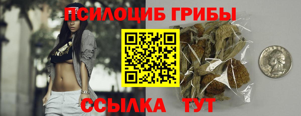 Галлюциногенные грибы Magic Shrooms Долгопрудный