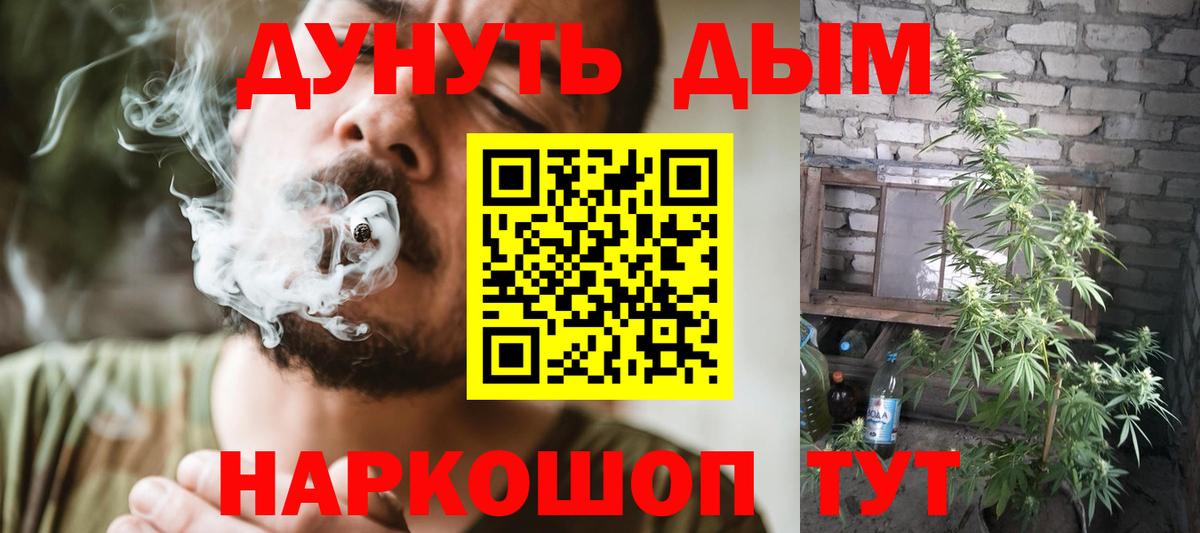 Марихуана сатива Долгопрудный